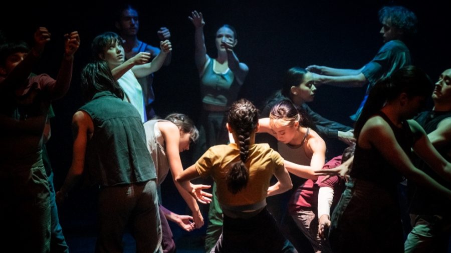 Cohorte de deuxième année de l'École de danse contemporaine de Montréal, photo de Maxime Côté