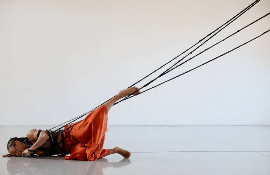 Shirley Gibbs's Absurdité des origines, photo by Benjamin Rapp