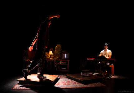 Entrelacés d'(in)sight, sur la photo : David Lafleur et Deniz Lim-Sersan, crédit photo Marianne Duval